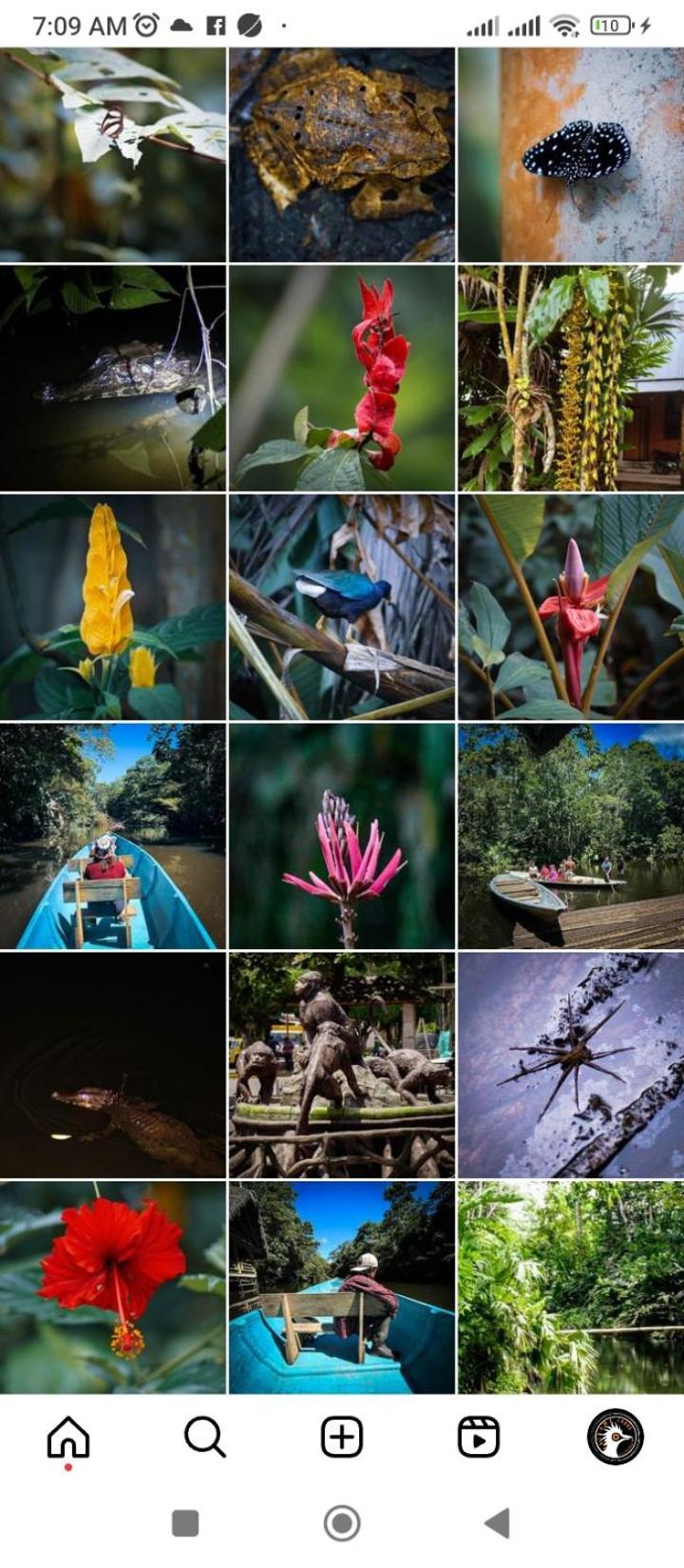 Misahualli Laguna Paikawe B&B Εξωτερικό φωτογραφία