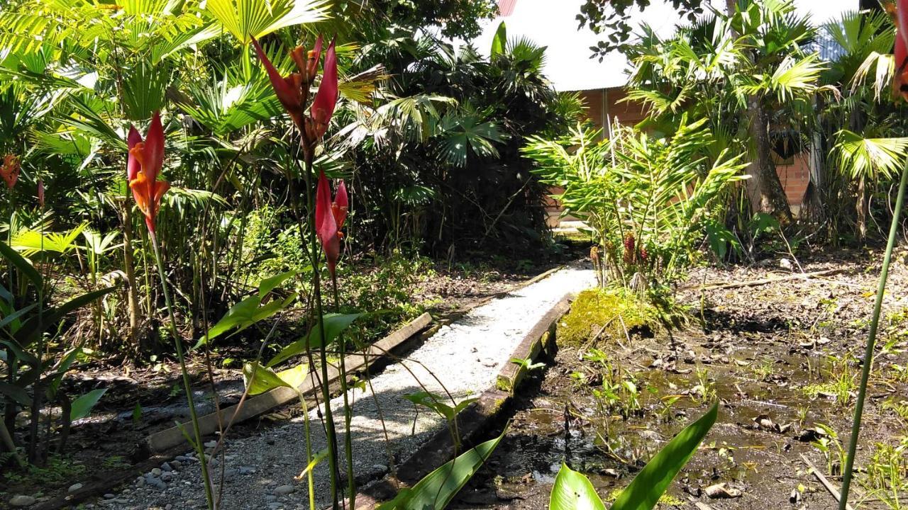 Misahualli Laguna Paikawe B&B Εξωτερικό φωτογραφία