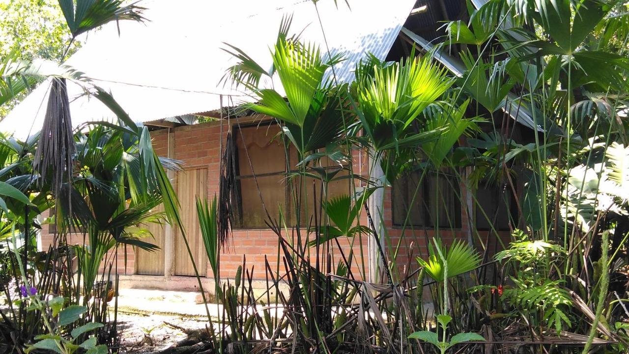 Misahualli Laguna Paikawe B&B Εξωτερικό φωτογραφία